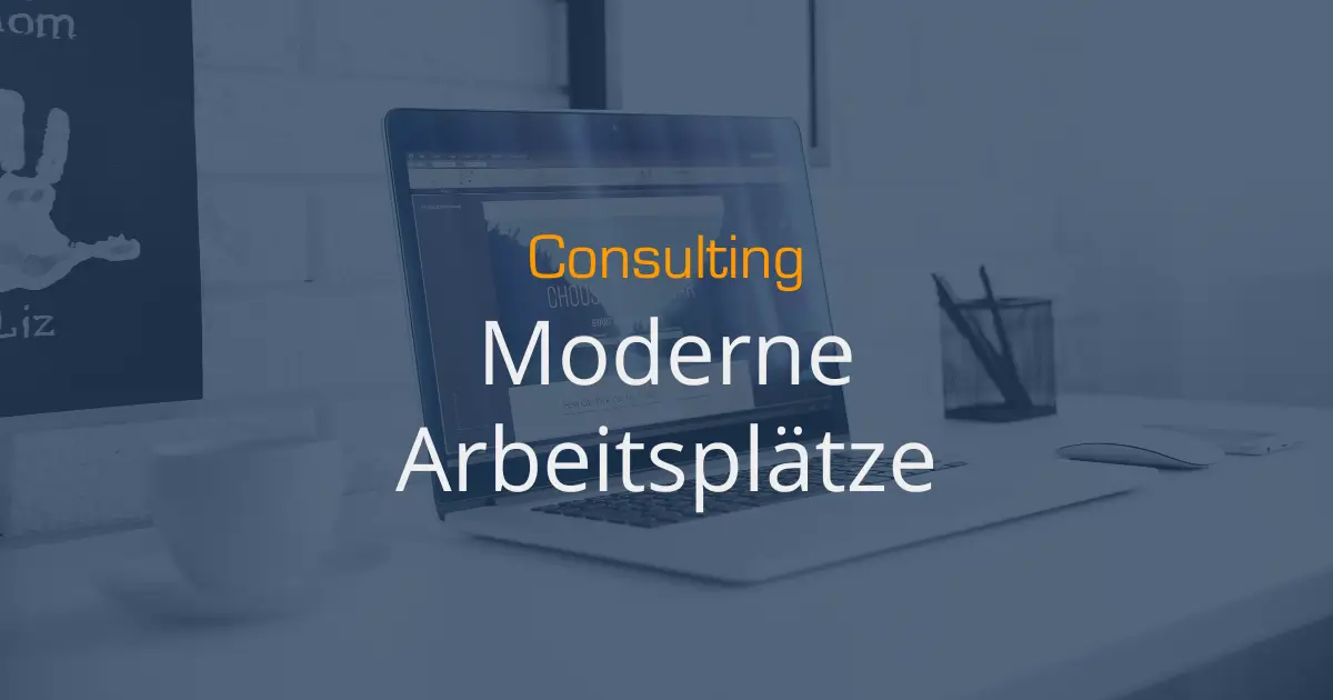 Feature-Consulting-04-Moderne-Arbeitsplatzumgebung-Pillarpage