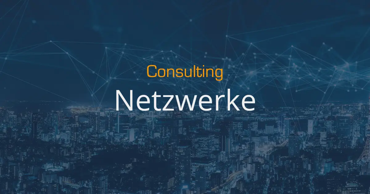 Feature-Consulting-05-Netzwerke-Pillarpage